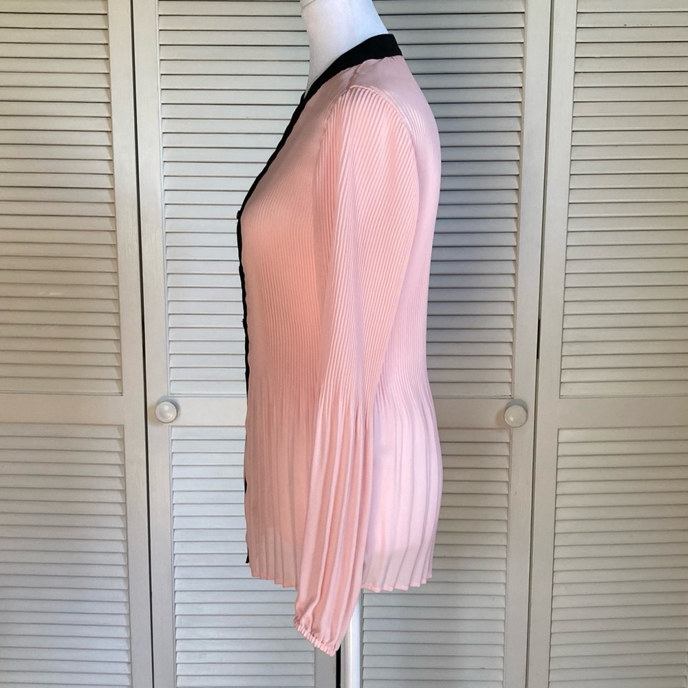 Pleated Sheer Button-Up long sleeved Blouse - Picture 6 of 8